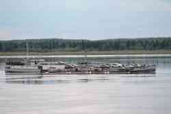3644 КБ