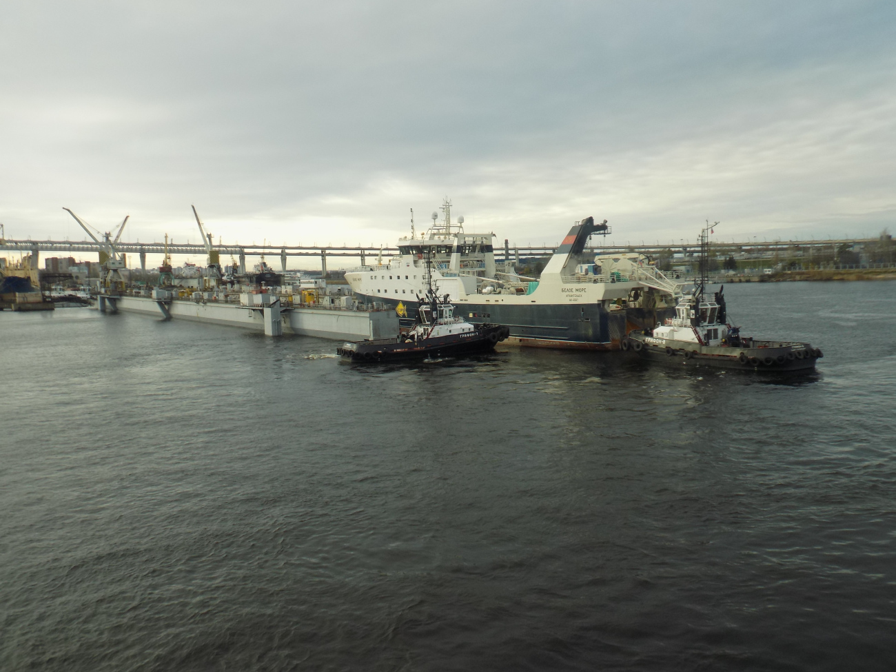Док №5, Белое Море, Грифон-7, Грифон-8