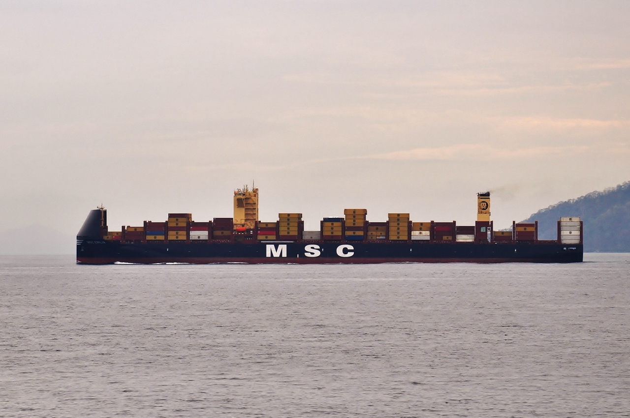 MSC Emilia