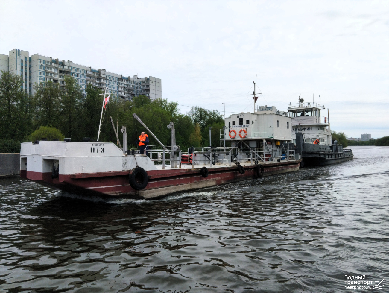 НТ-3, Дельфин