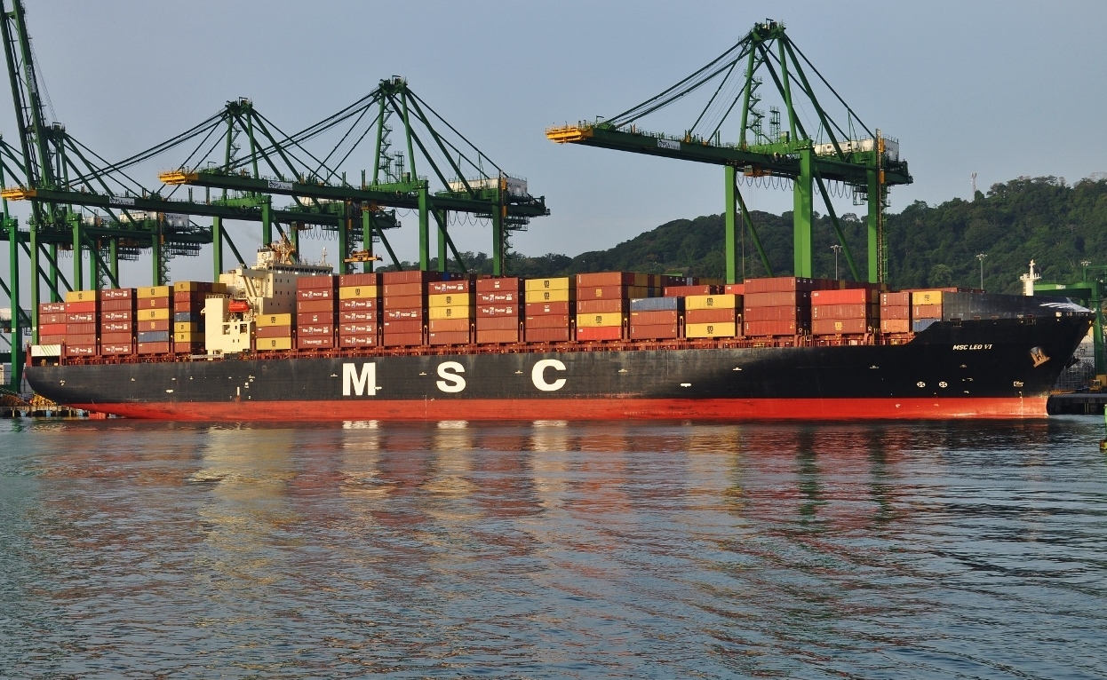 MSC Leo VI