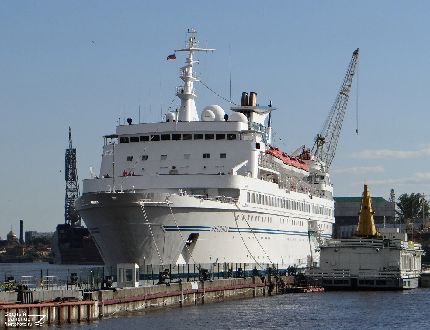 Delphin, Ладога
