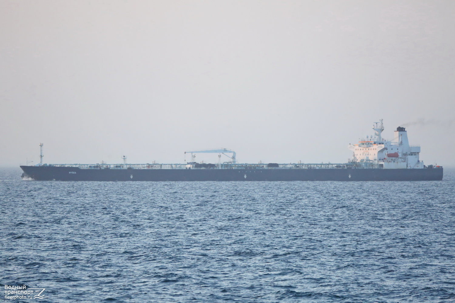 Nysea