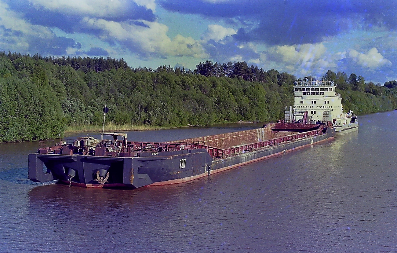 7917, Александр Румянцев