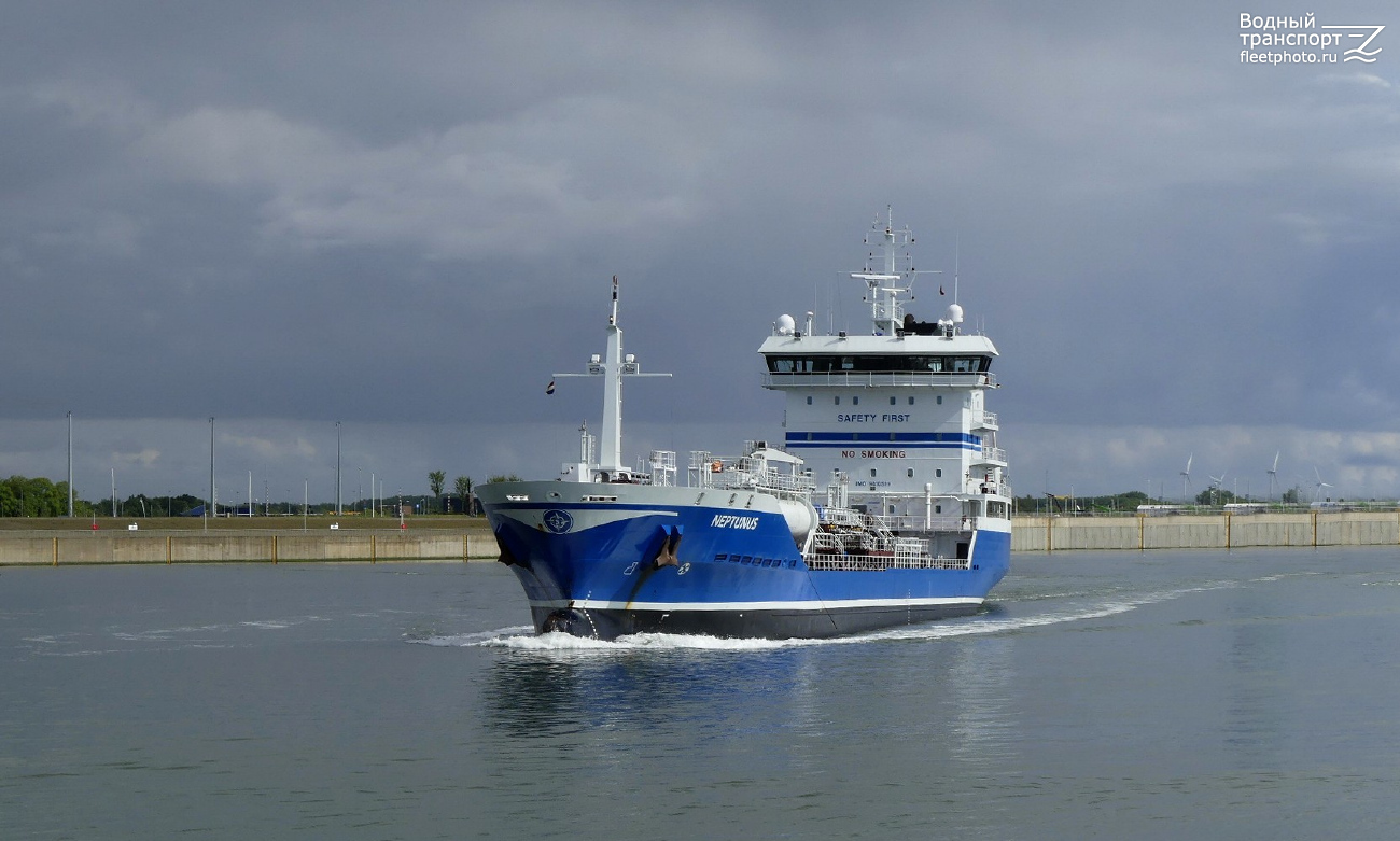 Neptunus