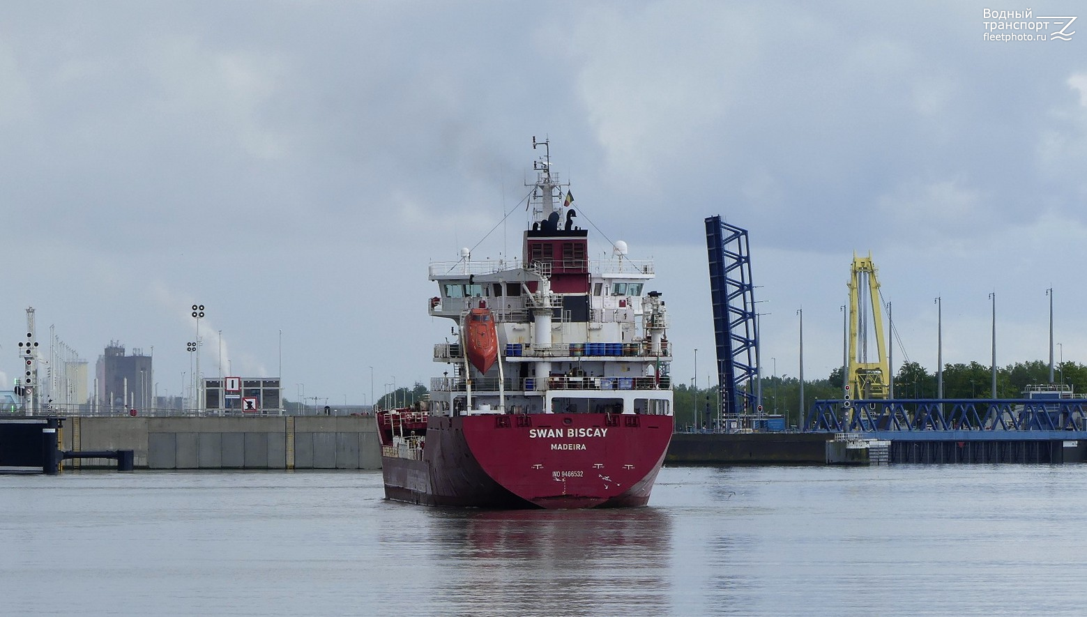 Swan Biscay