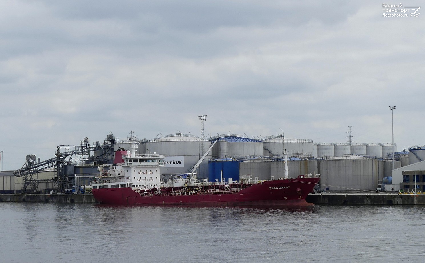 Swan Biscay