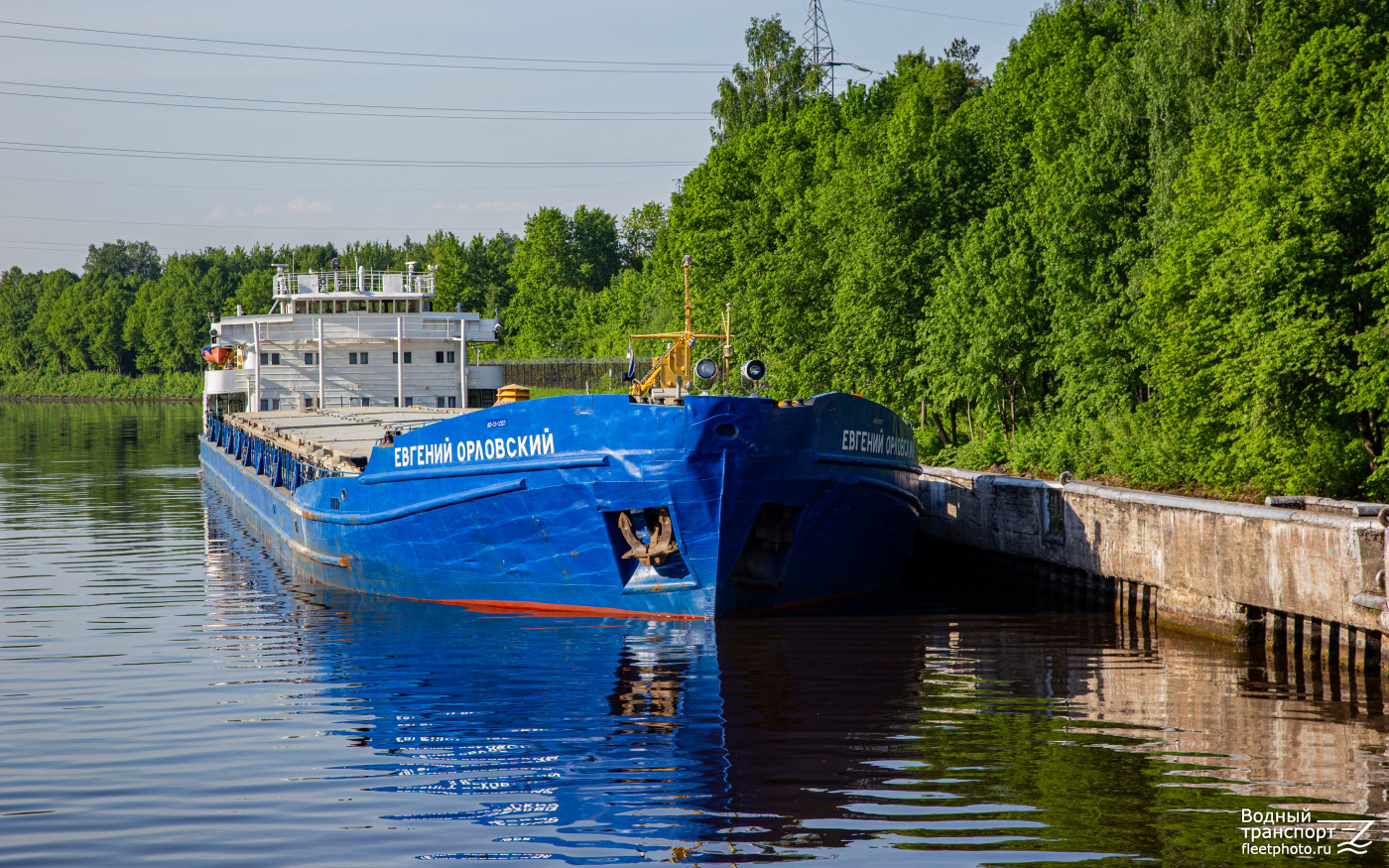 Евгений Орловский