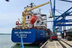 BBC Australia (Проект Abh MPV 6500, тип Forte, Сент-Джонс)