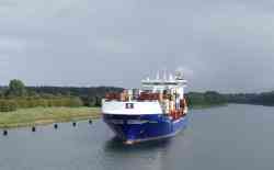 Elbspring (Design Mawei 900,  Fiveldijk, Saint John's)